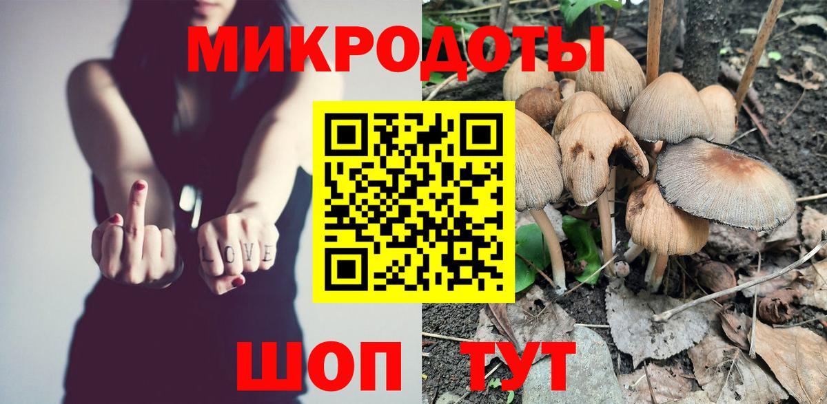 Галлюциногенные грибы мицелий Петрозаводск