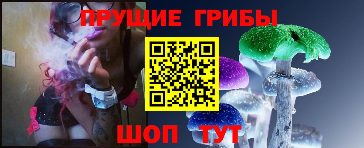 Галлюциногенные грибы мухоморы  Псилоцибиновые грибы мухоморы  Вход с VPN  где найти наркотики  Петрозаводск 